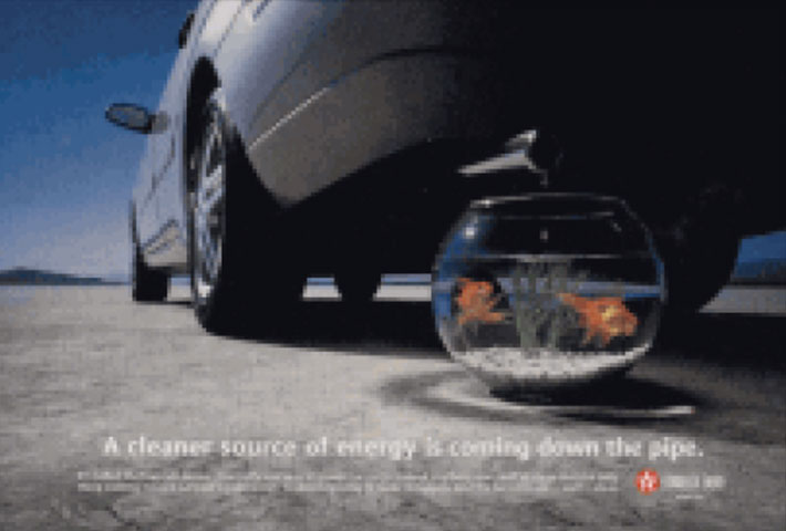 car with fish bowl