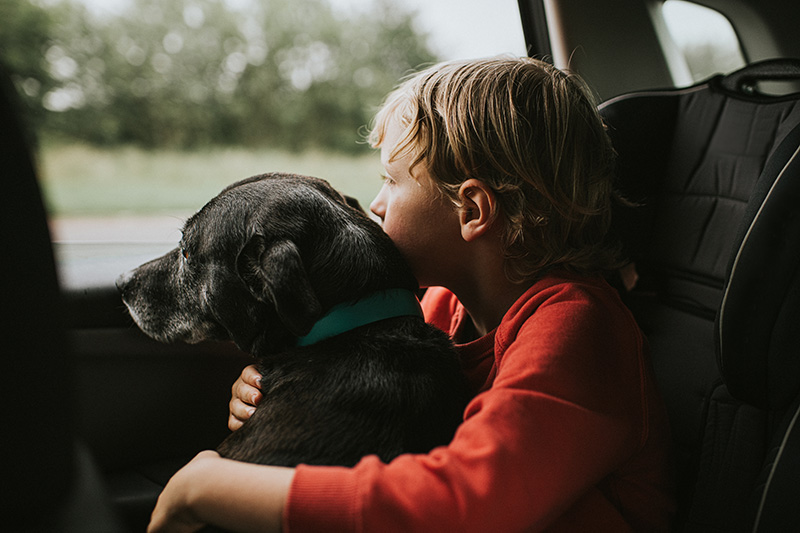 Boy and dog