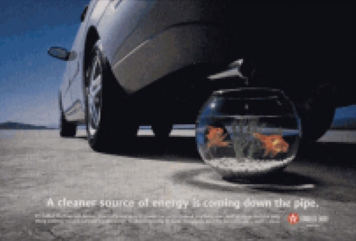 car with fish bowl car with fish bowl